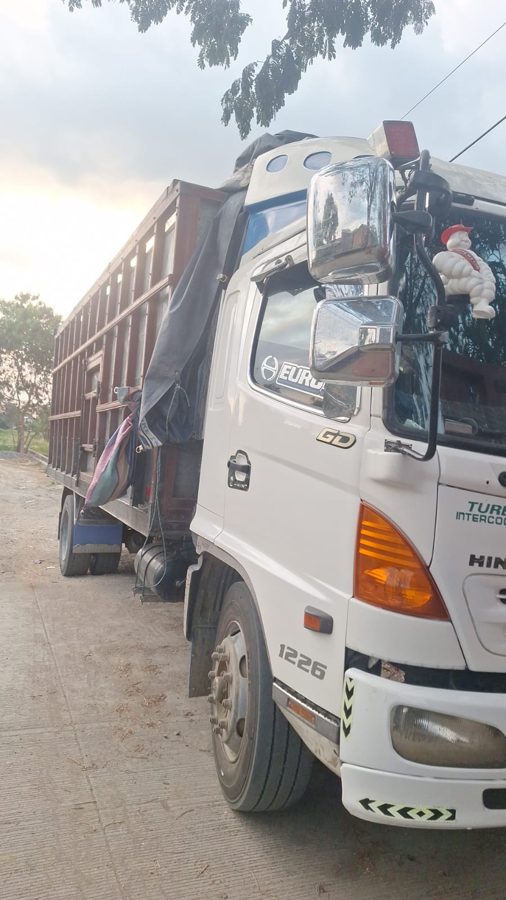 Camión Hino con cajón de madera, vista frontal